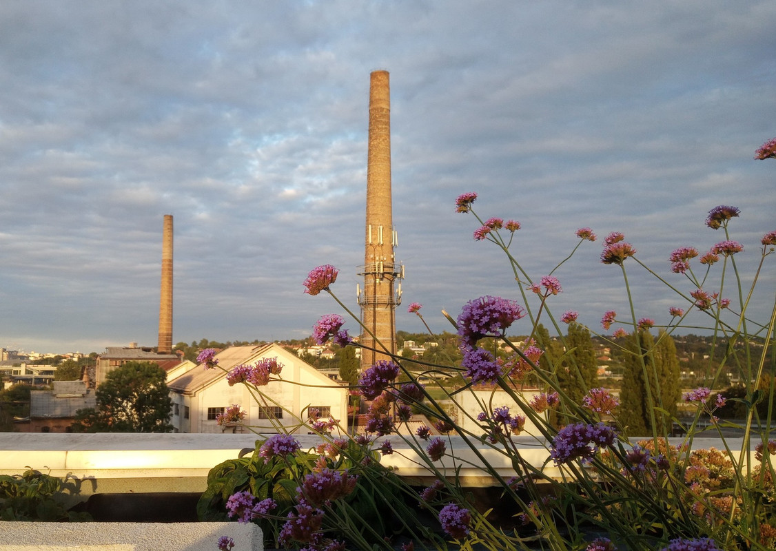 20200927_174231(1)(1)