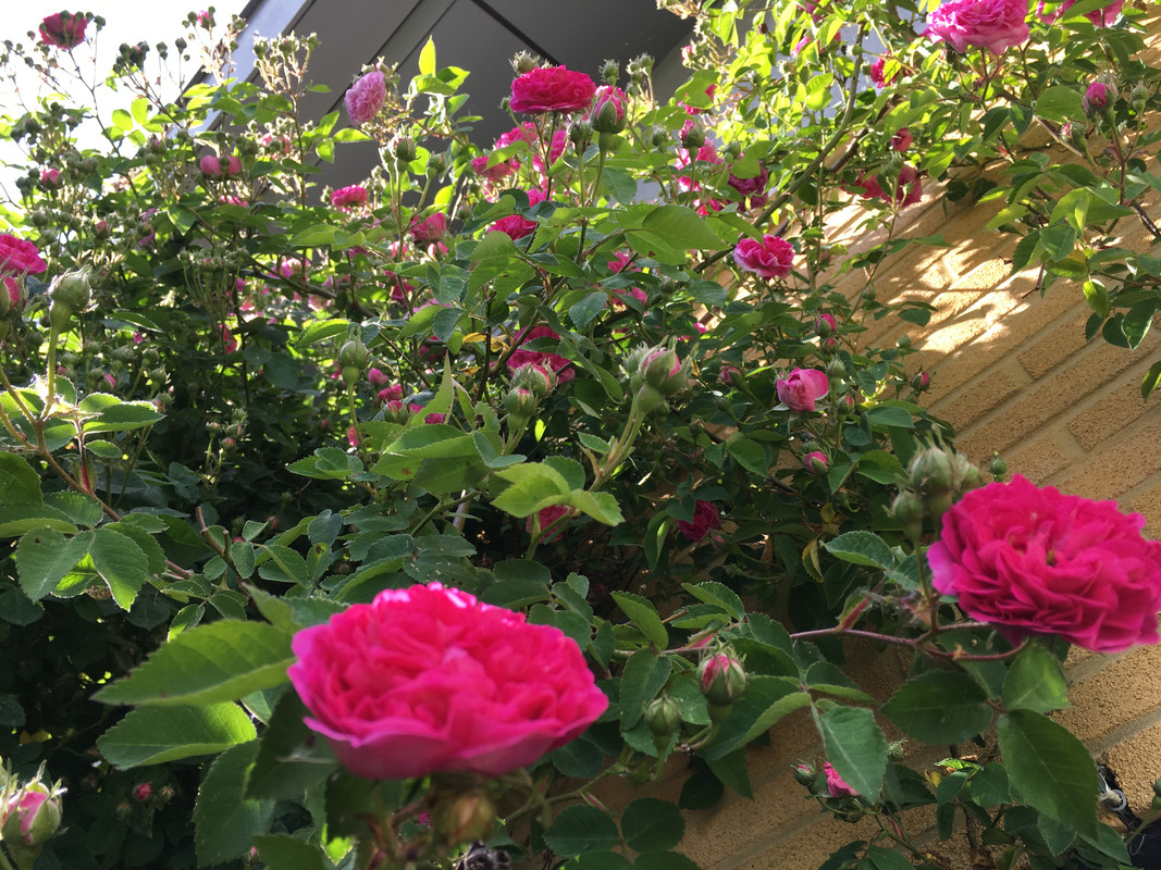 5F71764F-D7CB-4252-80C9-6BF4CE7BDBC6