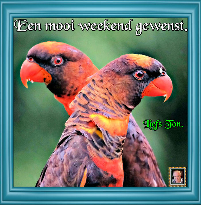 www.krabbelplaatjes.com