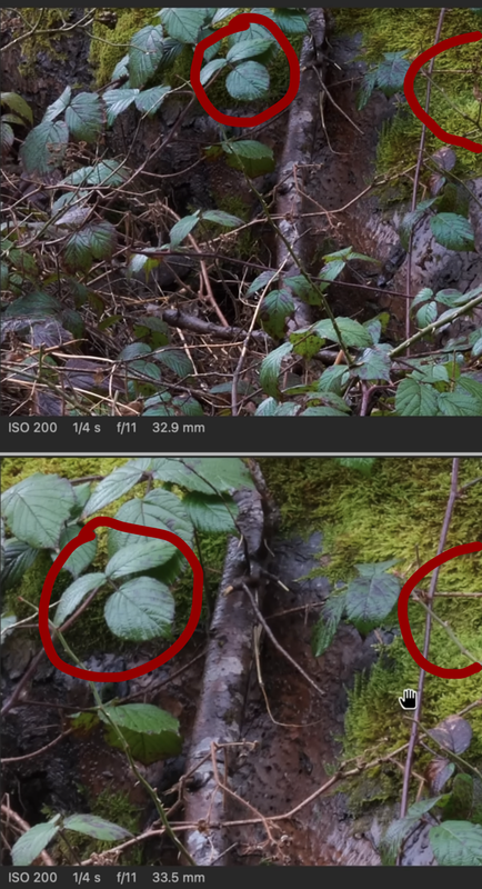 Screenshot 2026 04 08 alle 07 56 00