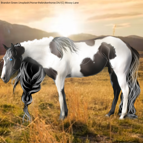 imageedit-12-6234733351.png