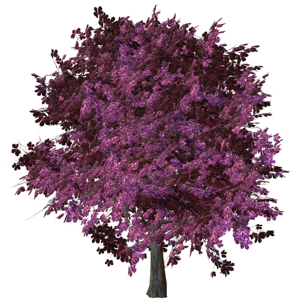 ISmellAutumn-LL-Element44