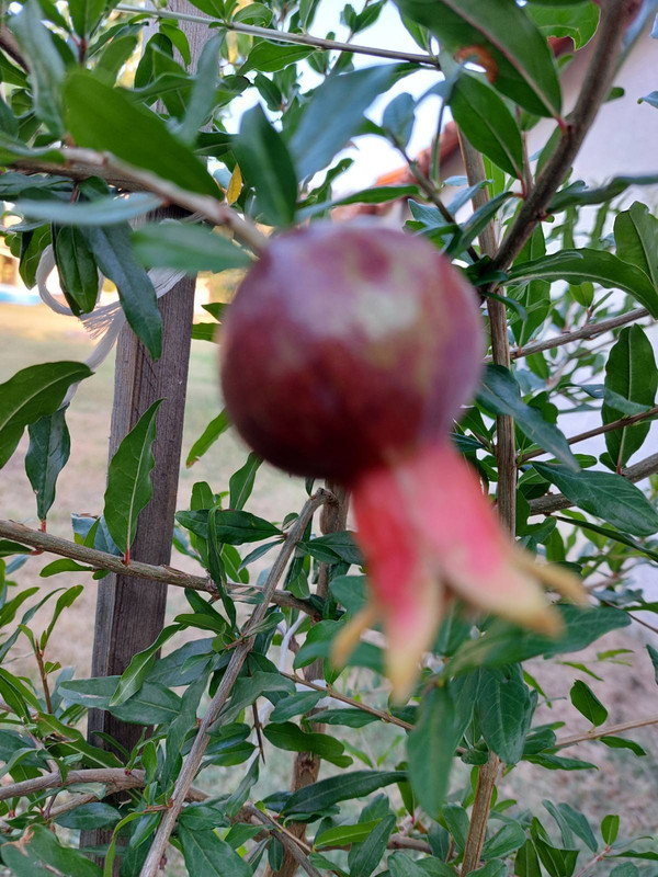 0-02-05-270e2e7c7a4dfe68f96c1b4cc634a592cd102cbf7dc5ba261feef5b7e54cfd18_d33779e67004f287