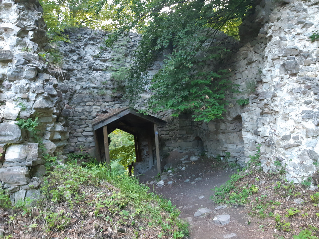 06.04 - 20220617_194211 (PiTT)