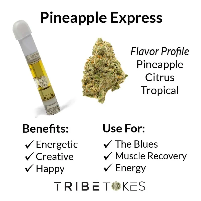 BayFarmz Pineapple Express shines for mood disorders, chronic stress, fatigue, or mild pain. Its sativa edge boosts serotonin for natural relief without heavy sedation—perfect for wellness routines.