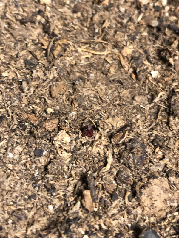 8A4313E5-D1B7-4780-AE93-D7F6B48CEEBD