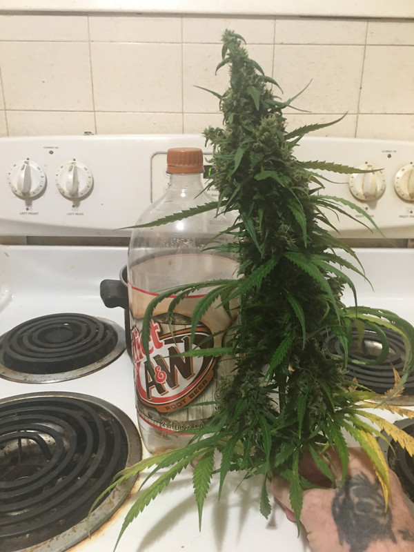 E3ECBDFD-2FA9-48E7-8B9A-FB72C5C61CA0