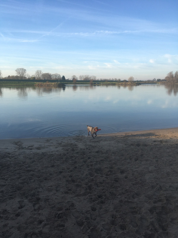 2024-01-12 Claire Rijn apport 3 IMG_4492 (002)