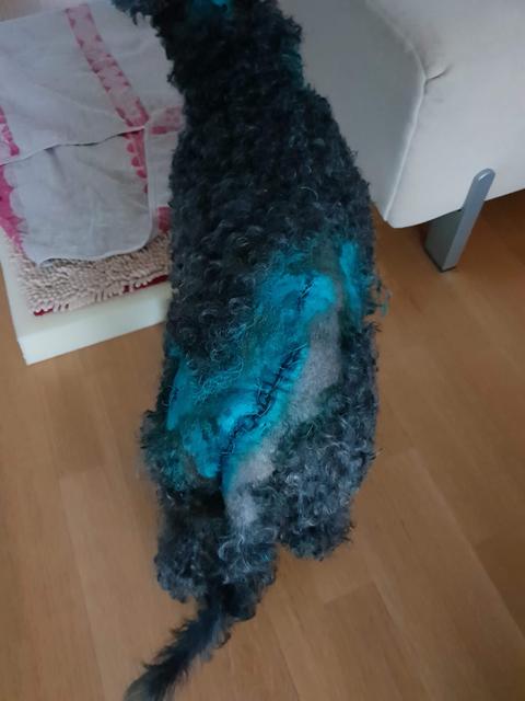 08270541-5-A46-4142-9-CDA-DC5-F9-A598236