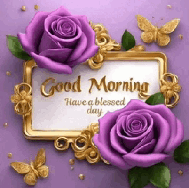 An den Beitrag angehängtes Bild: https://i.postimg.cc/T2QQPKpp/oie-1681821HT55q8ql.gif