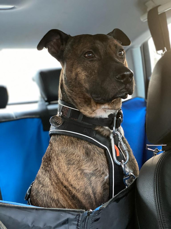 B06A16CE-8F74-44A1-B5A2-21BB6A8E9607