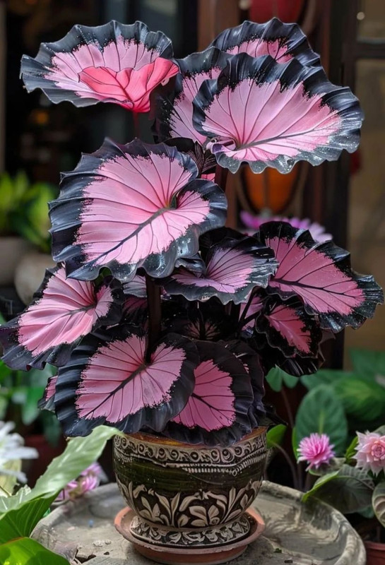 Screenshot_20240424_213543_Threads