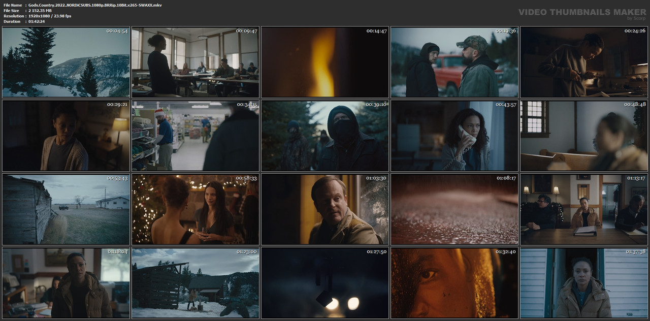Gods.Country.2022..NORDiCSUBS.1080p.BRRip.10Bit.x265-SWAXX.mkv