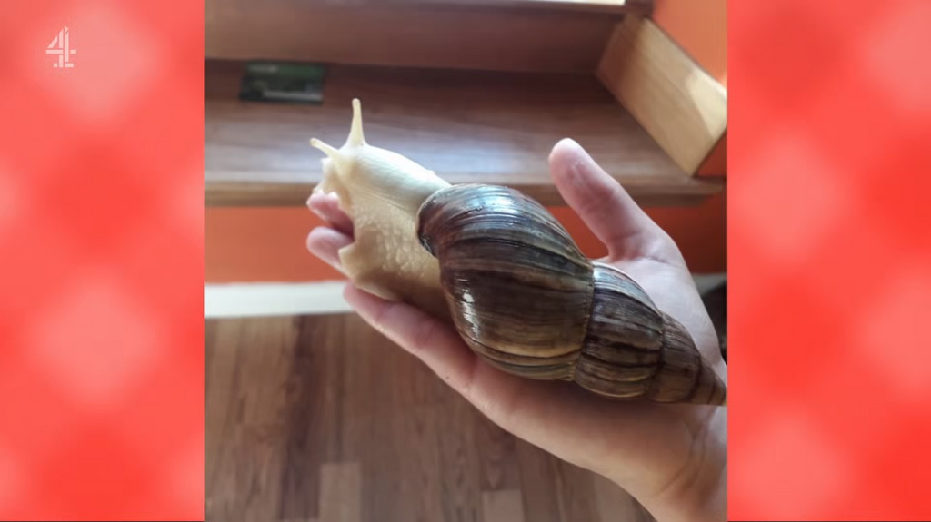 [Image: d07sbjq3ml1z.png]