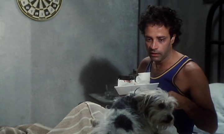 vlcsnap-2015-08-11-09h15m54s214