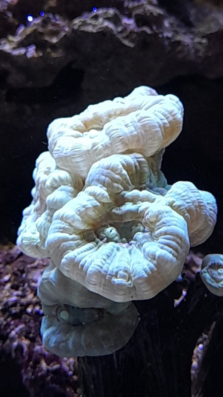 изображение_viber_2021-04-15_16-46-21