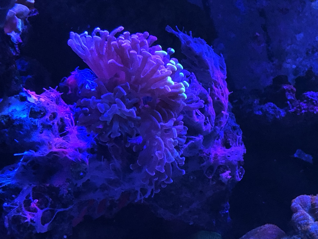 416B2ADC-95A2-4350-8DD6-7A00B2752A49