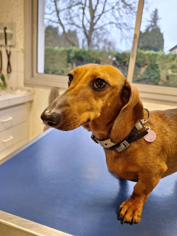 [Image: 20240221-171722-0.jpg]