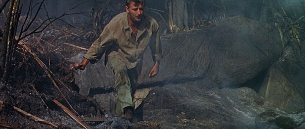 [Image: 9ozqa0iq6zx2.png]