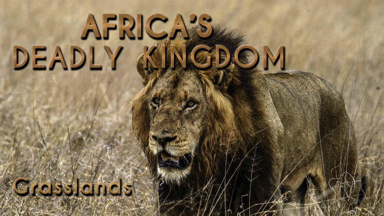 MV5 BN2 Y4 Ym E3 ODgt Zm Mz ZC00 Yj M2 LTlm NGYt Yz M4 ZTcy Mm M3 YTlh Xk Ey Xk Fqc Gde QXVy Njgz MDY1 Mzc V1 - El reino letal de África (Africa's deadly kingdom)