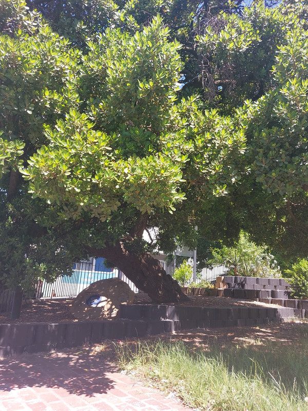 IMG-20250122-WA0278