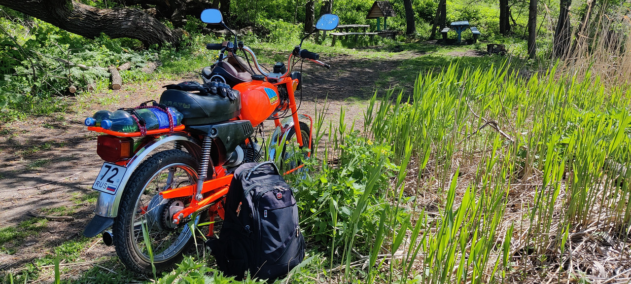 карпаты на роднике