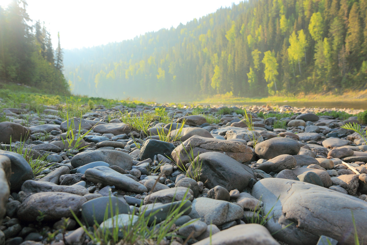 IMG_2520 (3960 x 2640)