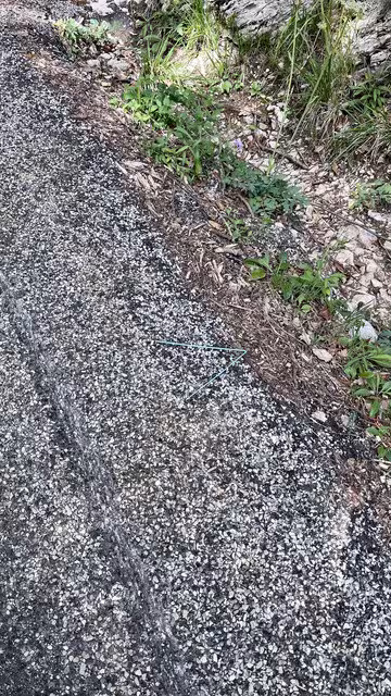 https://i.postimg.cc/T2VwRJC5/IMG-4717.avif