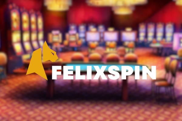 Felixspin Leitfaden