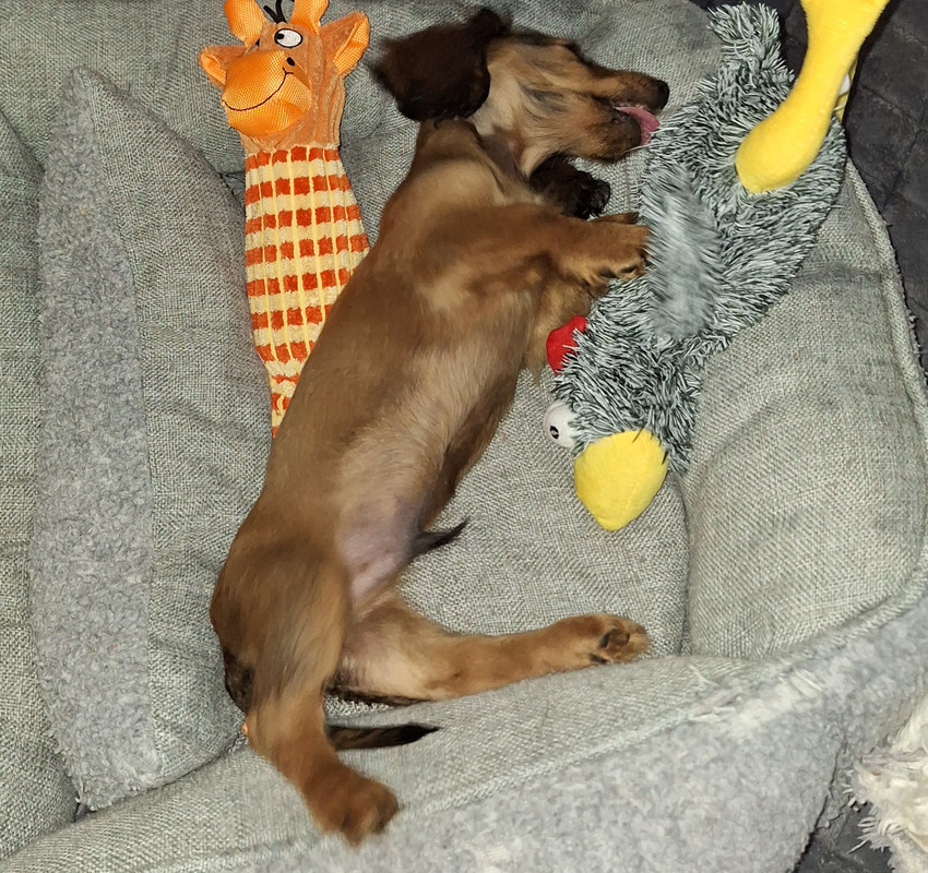 [Image: 20240906-184803.jpg]