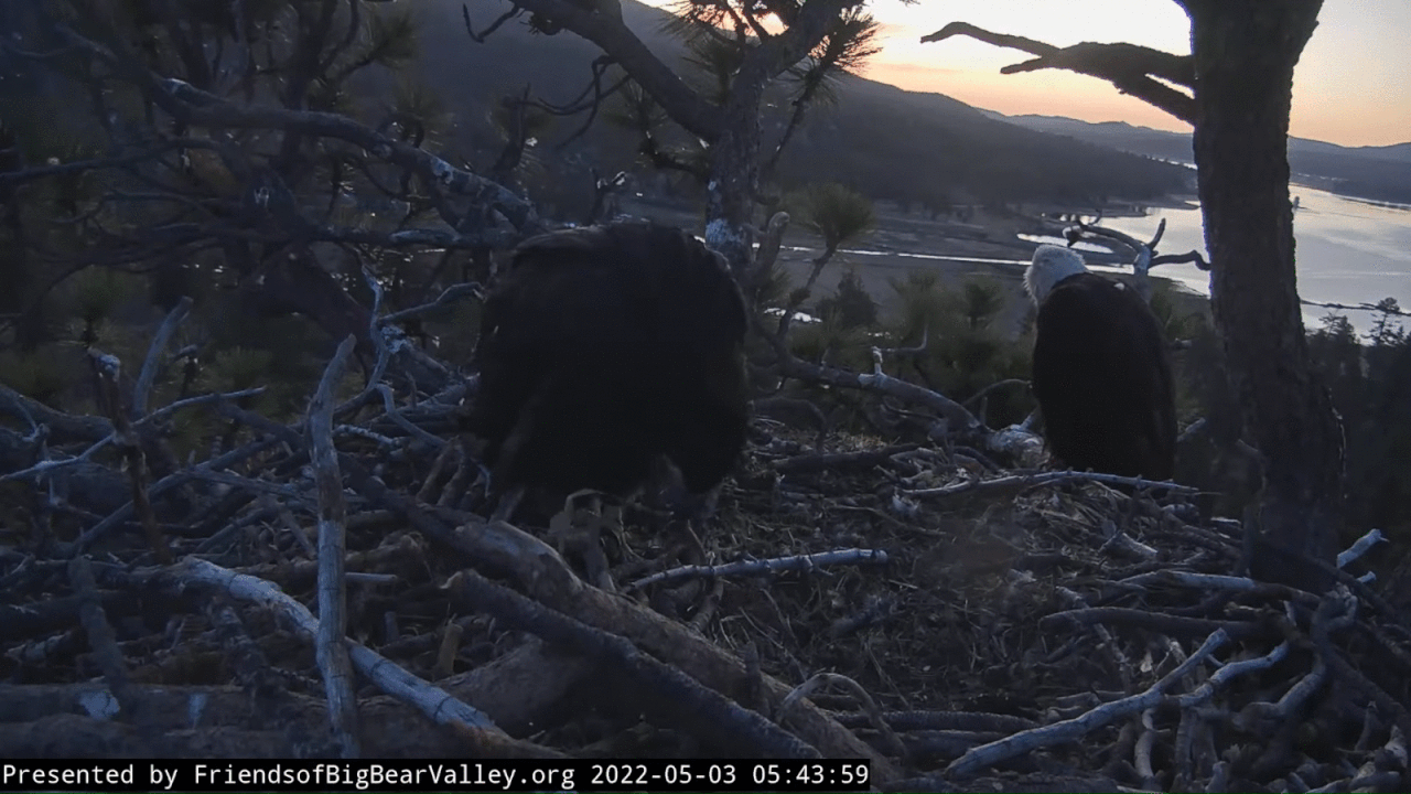 Webp.net-gifmaker (4)