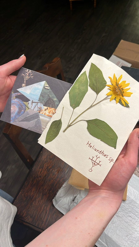 a pinko fibers cd (staring at yourself in death’s mirrored face) and a pressed sunflower with pinko fibers’s symbol sketched on the paper