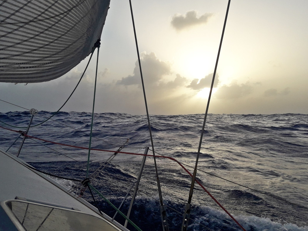 [Imagen: 20200219_205249.jpg]