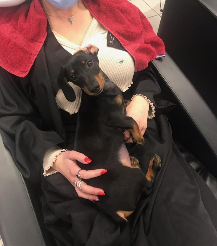 [Image: 20210216-163803.jpg]