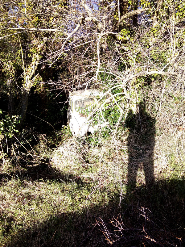 IMG_20210215_085512716