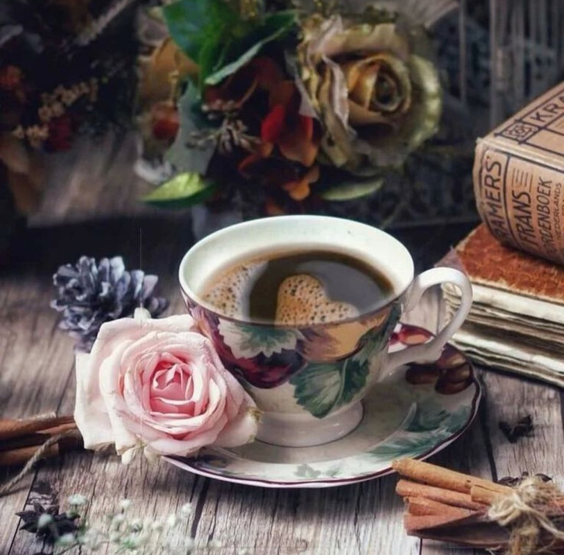 Screenshot_20240712_123723_Pinterest