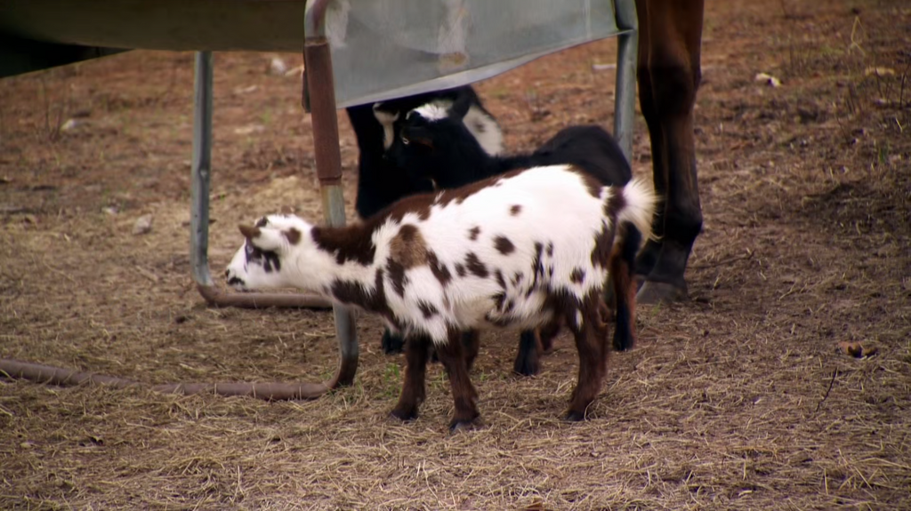 [Image: lzyk1ze058be.png]