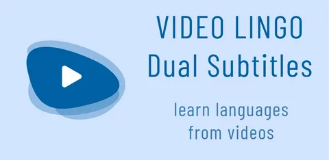 VideoLingo