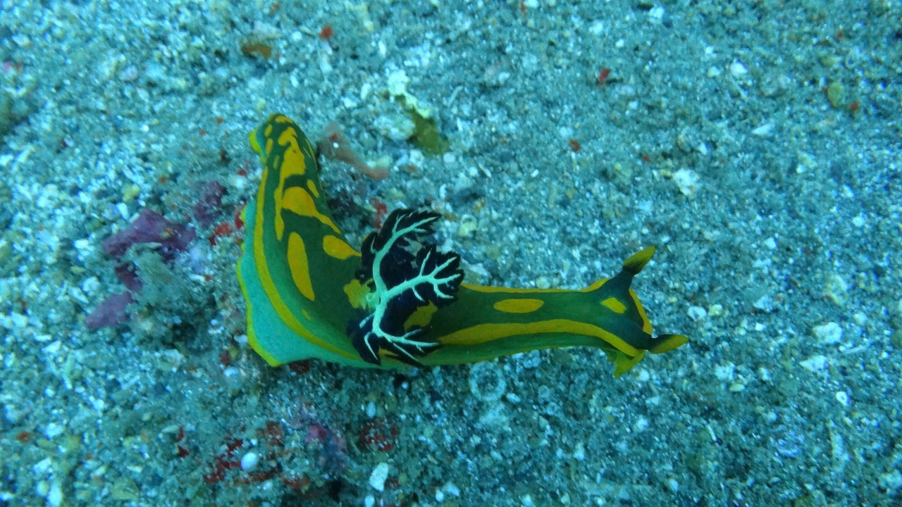 88F3C8A5-C133-469B-AF47-8AF726646D9C