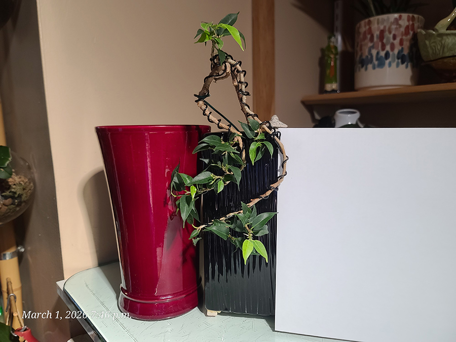 [Image: 20260301-194625.jpg]