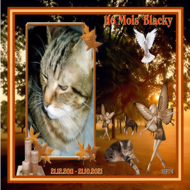 BLACKY-116-MOIS