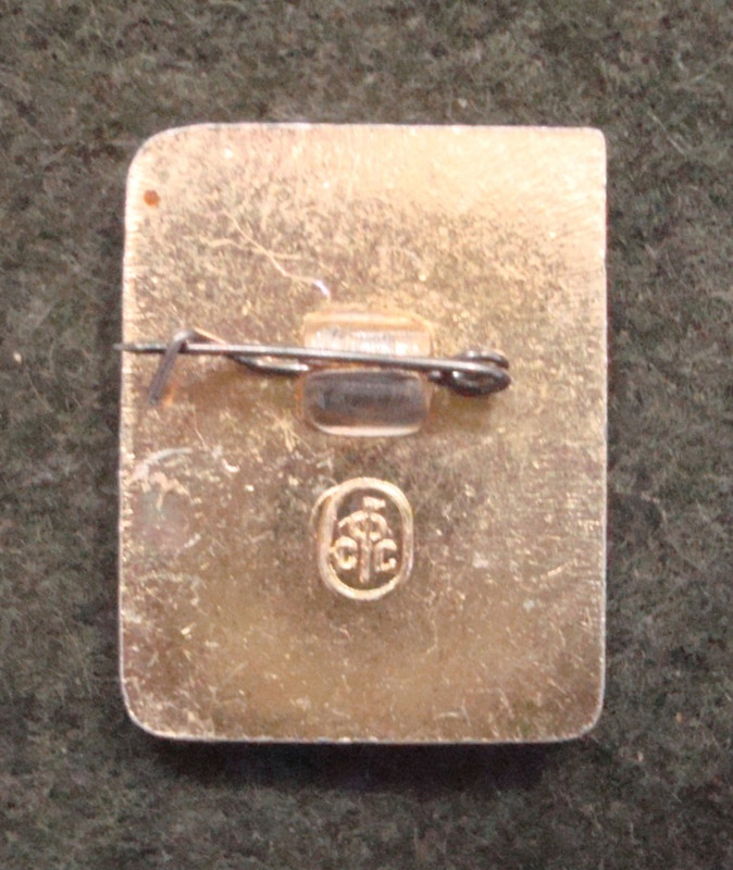 Гандбол сФс_1