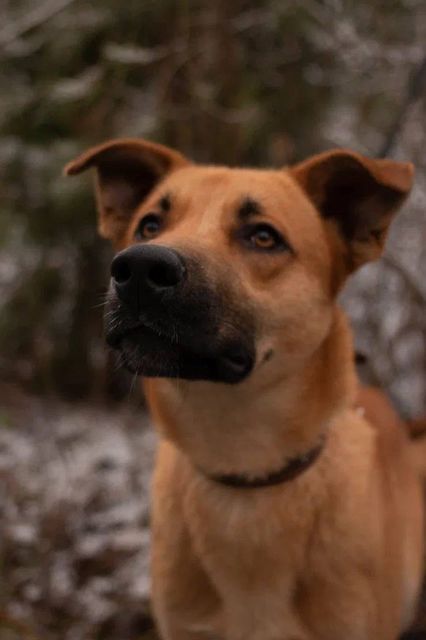 277319929_800141367611276_3450696216736432158_n