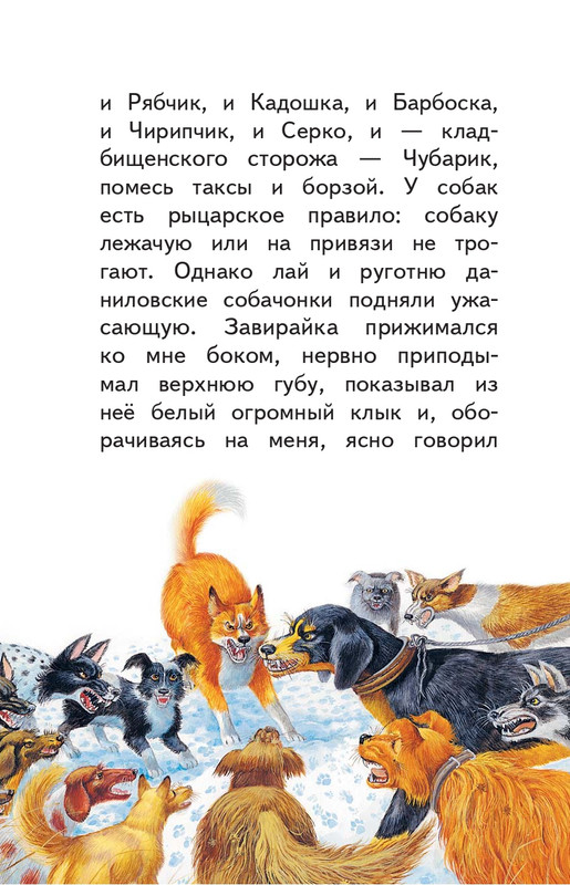 Kuprin-Aleksandr-Sapsan-2019-page-0047