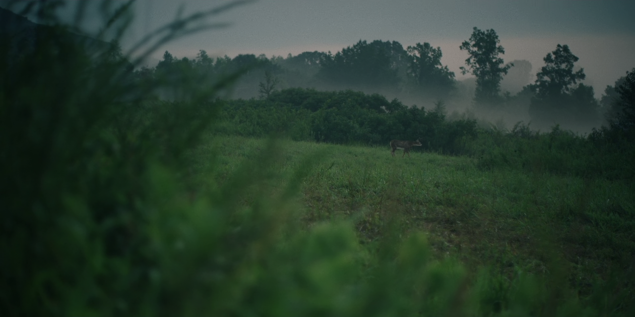 The Outsider (2020) S01E04 A Wide Place in the Road 1080p AMZN Webrip x265 10bit EAC3 5.1 - Ainz