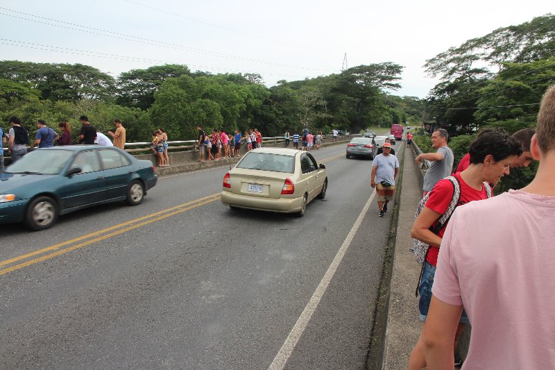 DIA 12: TRASLADO A DOMINICAL Y COCODRILOS EN TÁRCOLES - DE TORTUGAS Y PEREZOSOS. COSTA RICA 2019 (5)