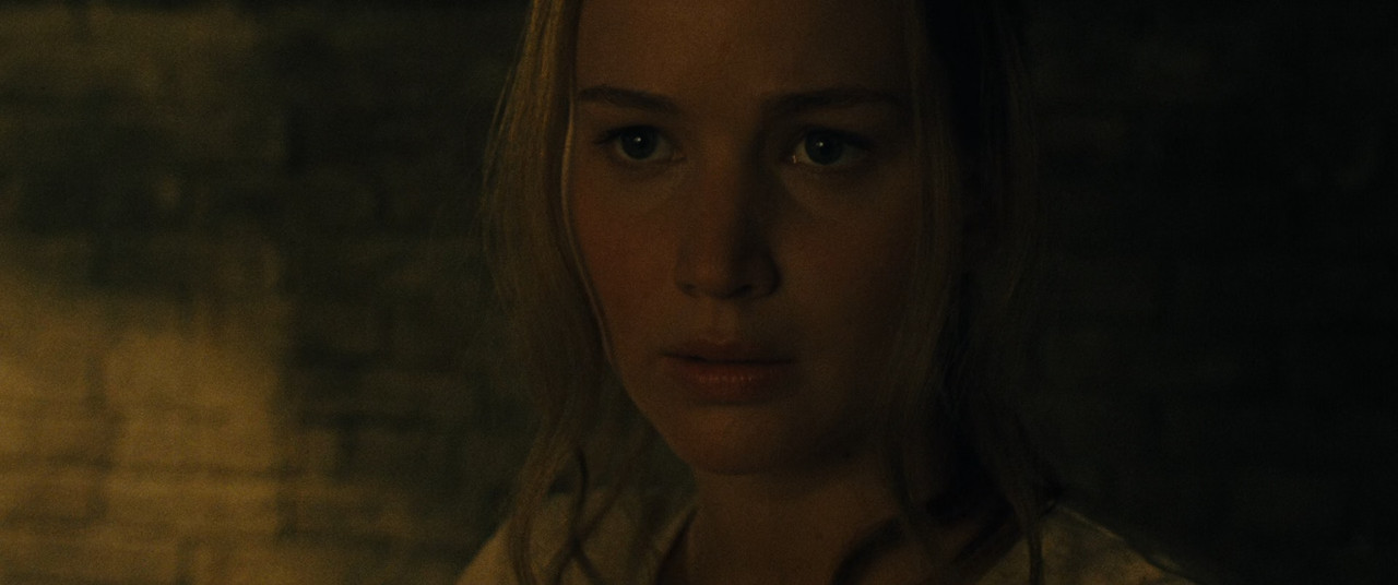 Mother! 2017 (1080p x265 10bit Tigole).mkv_snapshot_00.30.35_[20