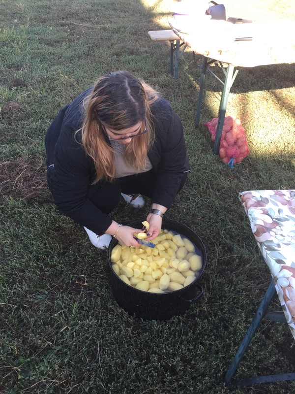 339203F5-DE4B-4AB5-BE63-95F3DF2FE7FB