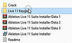 Ableton Live 11 (Open KG)