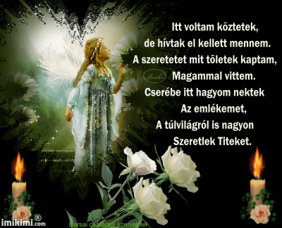 1LXIM-10z-2 másolata